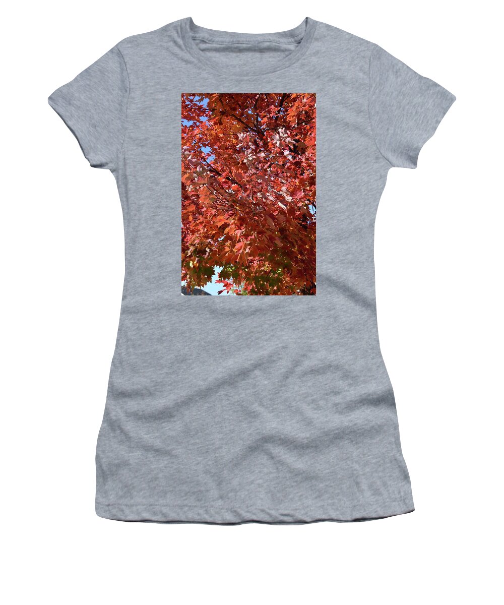 Tree Women's T-Shirt featuring the photograph Let Us Get Lost by Roberta Byram