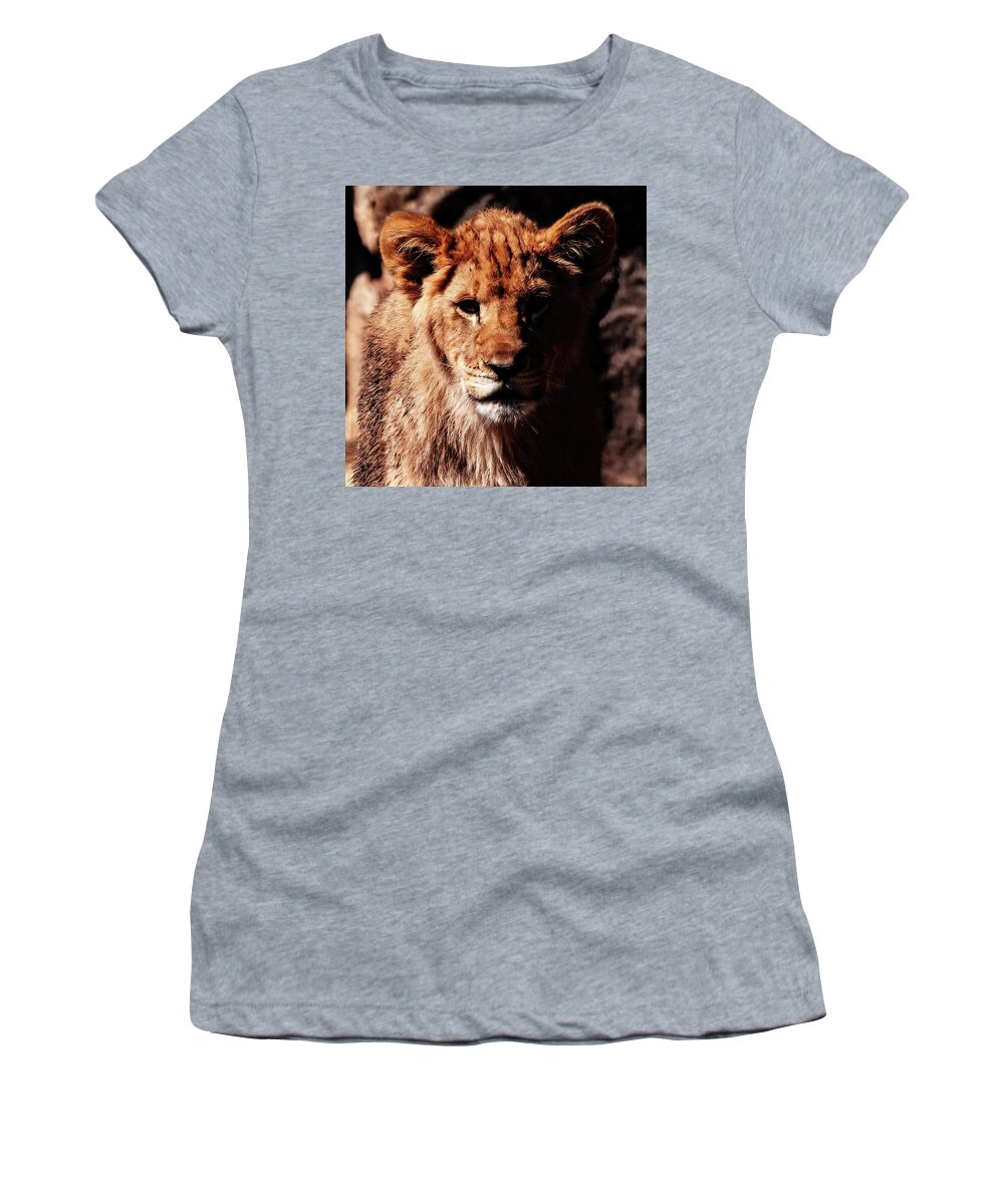 Lion Cub Male Portrait Women's T-Shirt featuring the photograph Lion Cub Male portrait 001 by Flees Photos