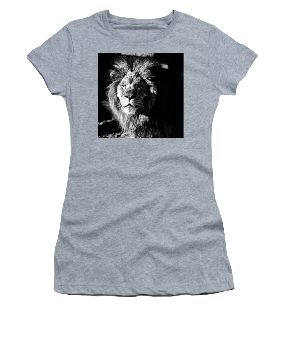 Lion Women's T-Shirt featuring the photograph Lion portrait BW by Flees Photos