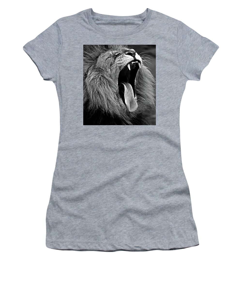 Lion Women's T-Shirt featuring the photograph Lion Roaring by Doc Braham