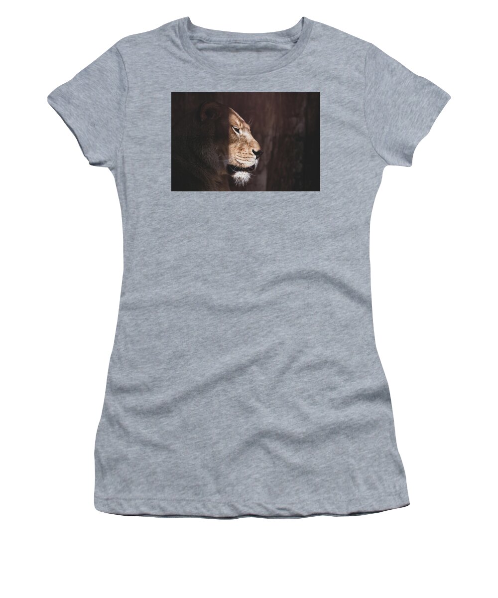 Lioness Women's T-Shirt featuring the photograph Warming Thoughts by Rose Guinther