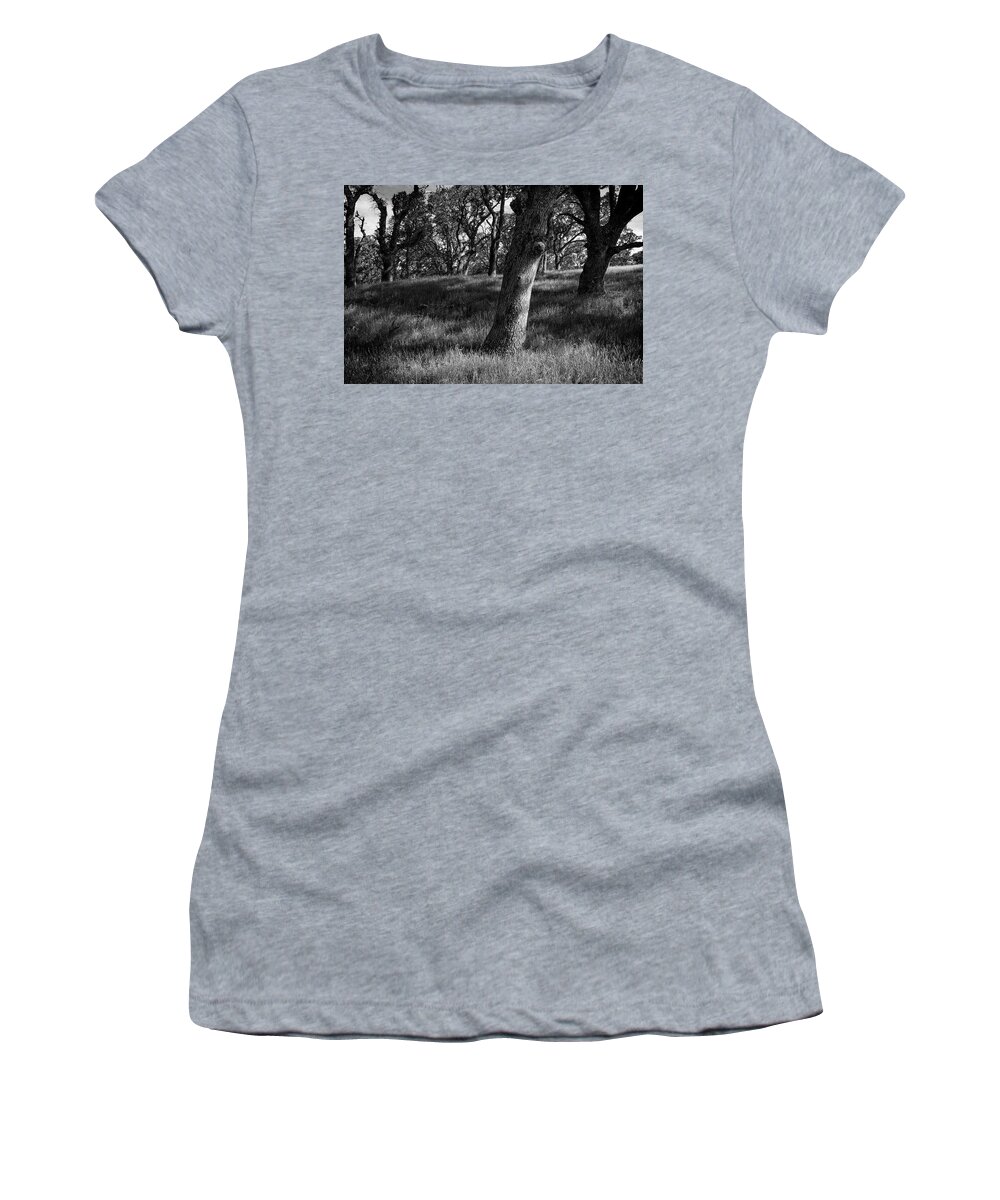 Tree Women's T-Shirt featuring the photograph Live Oaks and Shadows by Rick Pisio