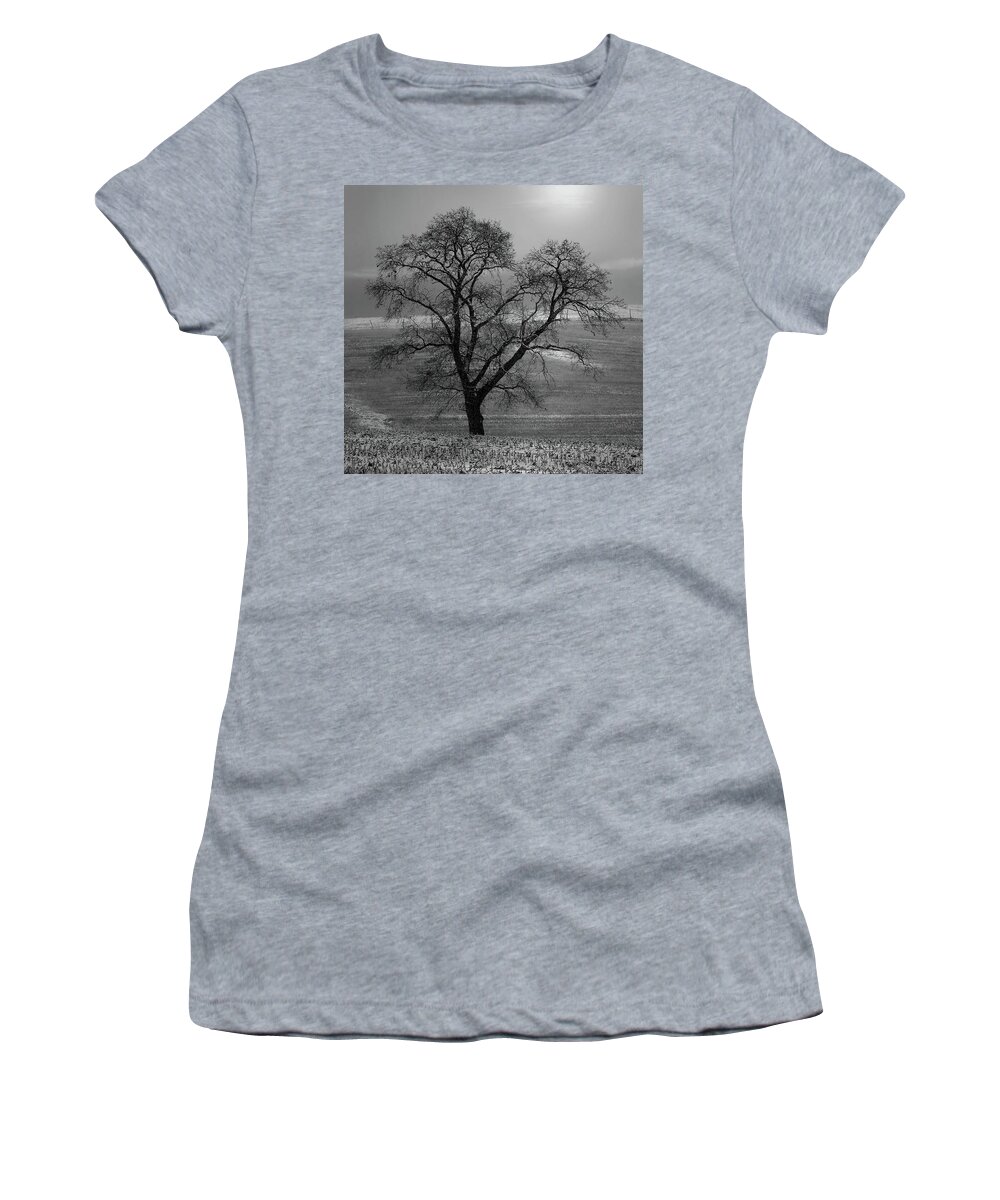  Women's T-Shirt featuring the photograph Lone Oak in Winter Corn Field - Tompkins Center, Michigan USA - by Edward Shotwell