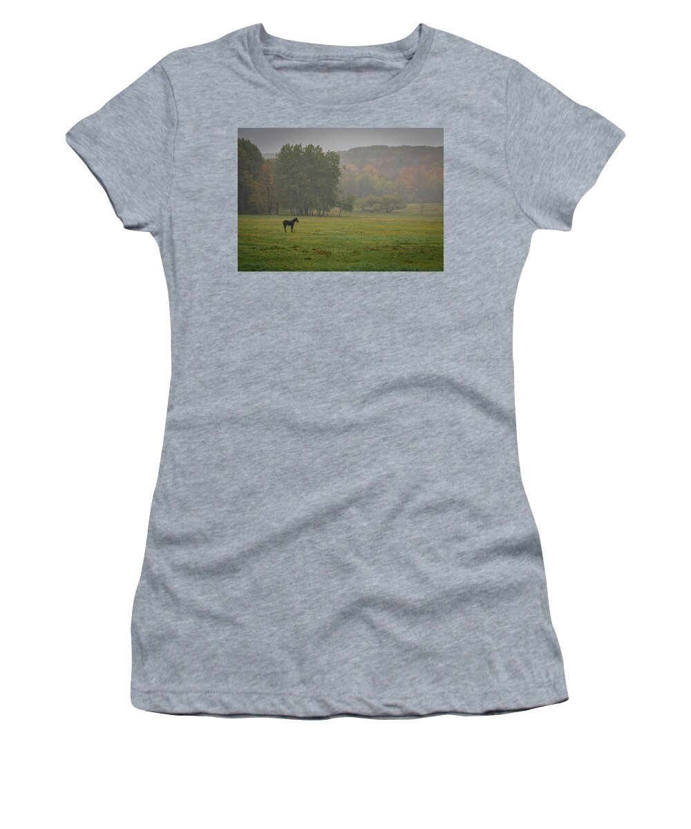 Foal Women's T-Shirt featuring the photograph Lonely Foal by Guy Coniglio