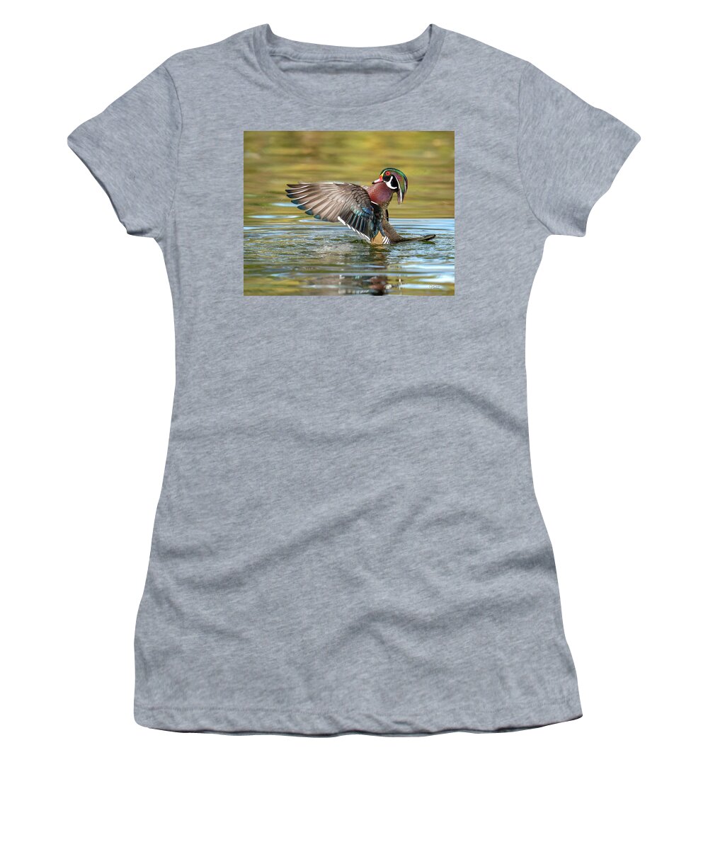 Wood Duck Women's T-Shirt featuring the photograph Look at Me -- Wood Duck by Judi Dressler