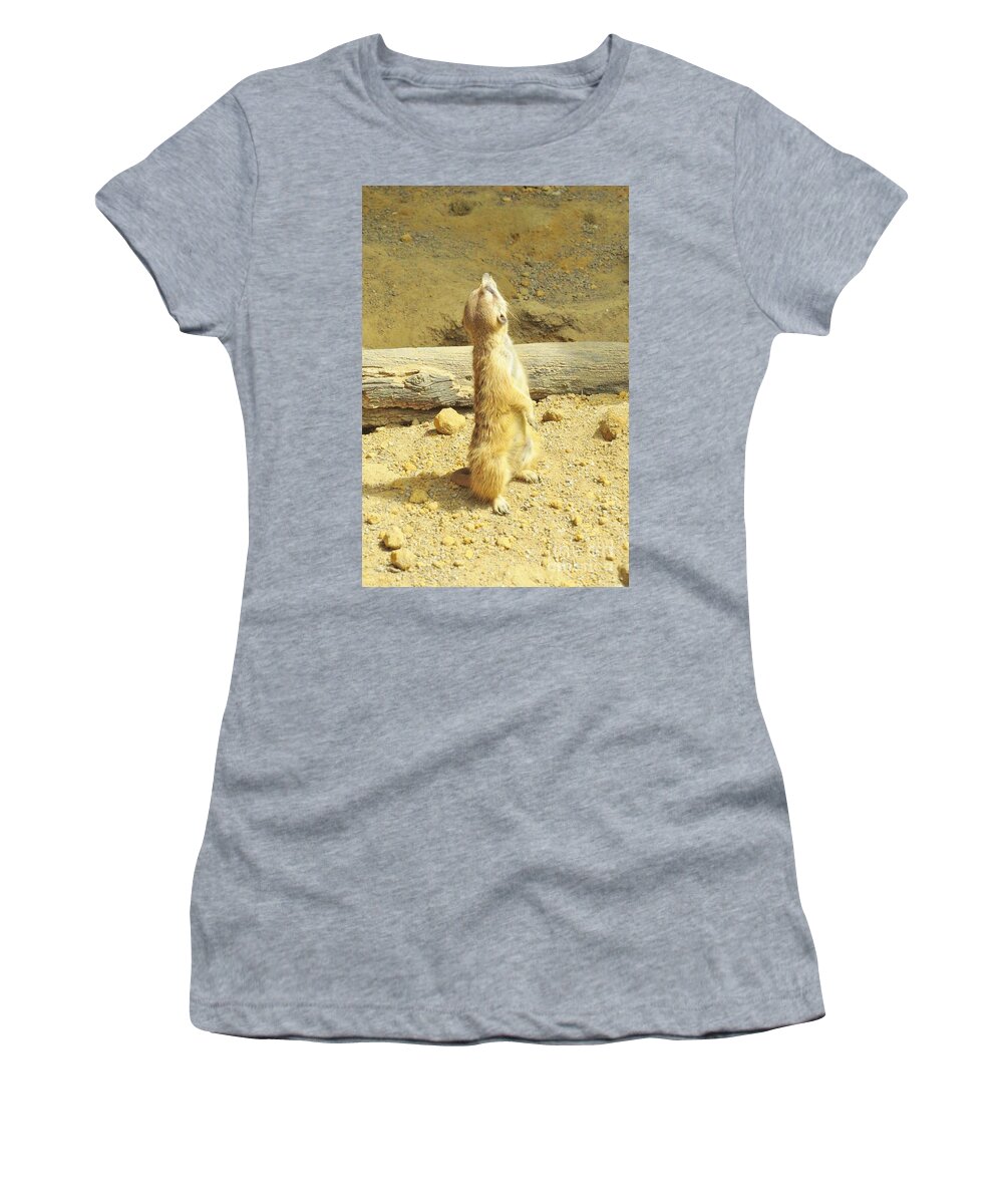 Meerkat Women's T-Shirt featuring the photograph Look, Up in the Sky - It's a Bird... by World Reflections By Sharon