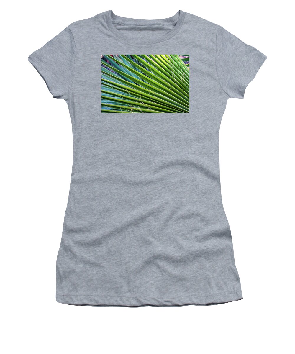 Palm Fronds Women's T-Shirt featuring the photograph Loreto Fronds by William Scott Koenig