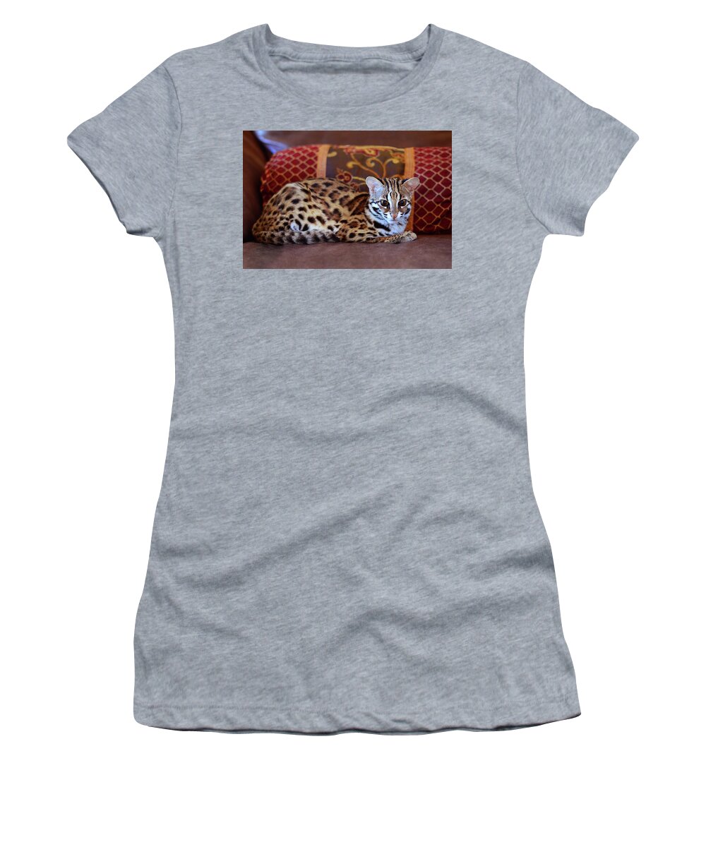 Animals Women's T-Shirt featuring the photograph Lounging Leopard by Laura Fasulo