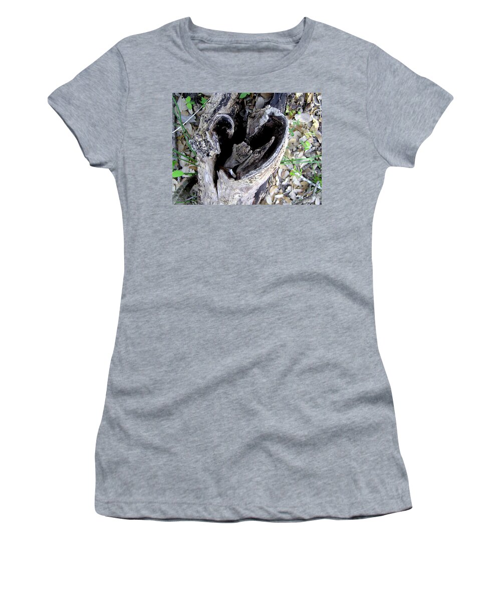 Love Women's T-Shirt featuring the painting Love in Nature by Adam Johnson