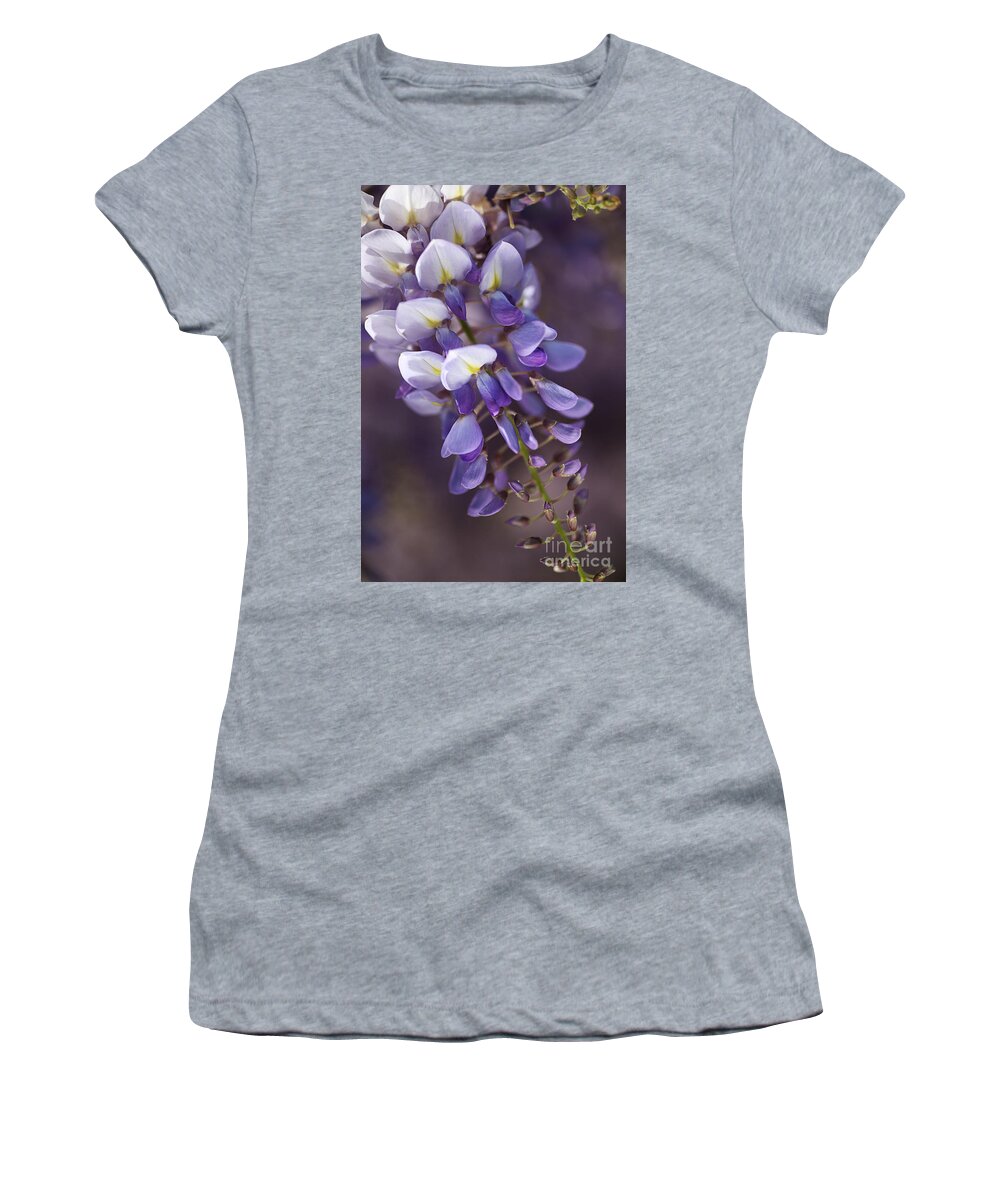 Acanthaceae Women's T-Shirt featuring the photograph Love Purple Wisteria by Joy Watson