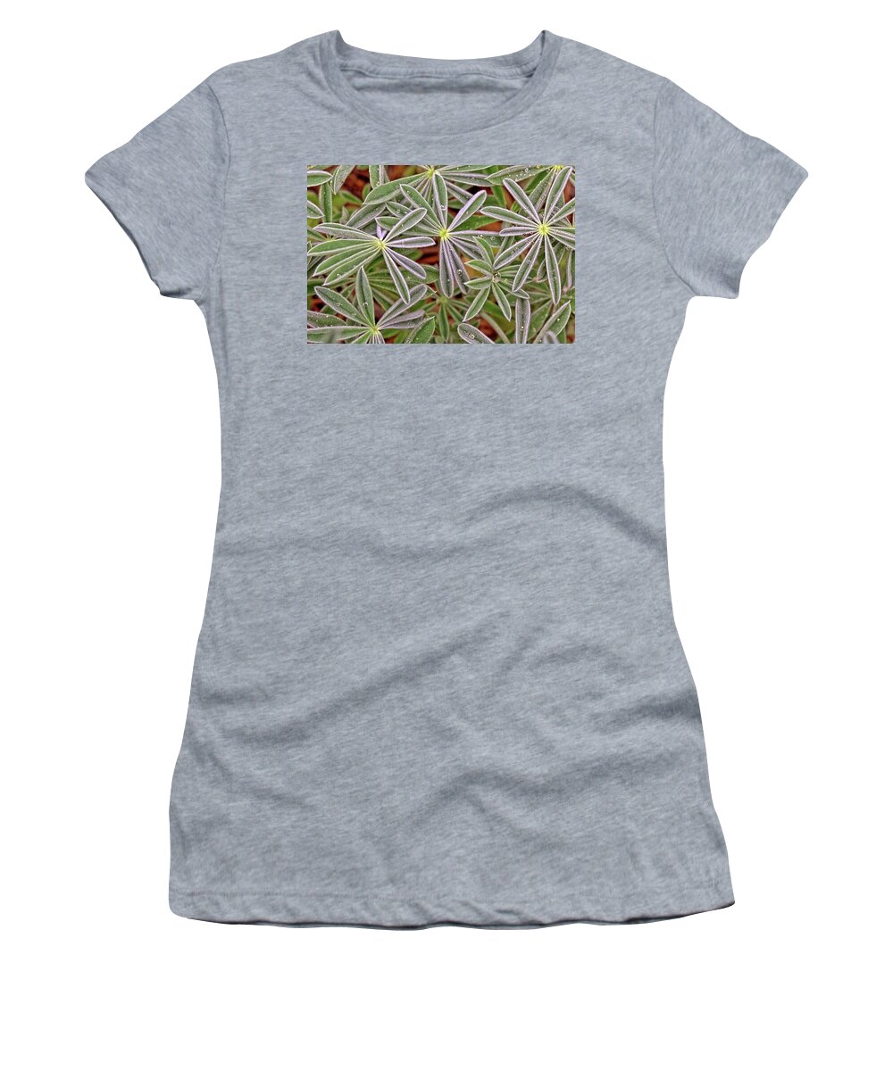 Lupine Women's T-Shirt featuring the photograph Lupine Leaves by Bob Falcone