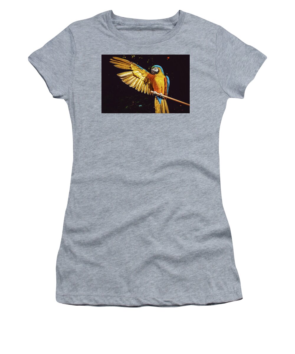 Macaw Parrot Women's T-Shirt featuring the photograph Macaw Showing Off by World Art Collective