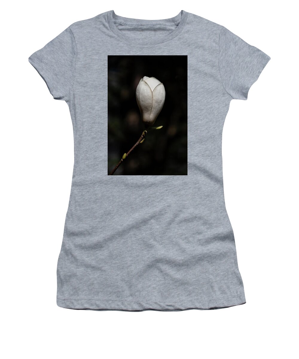 Magnolia Women's T-Shirt featuring the photograph Magnolia Soulangeana Lennei Alba Flower by Artur Bogacki