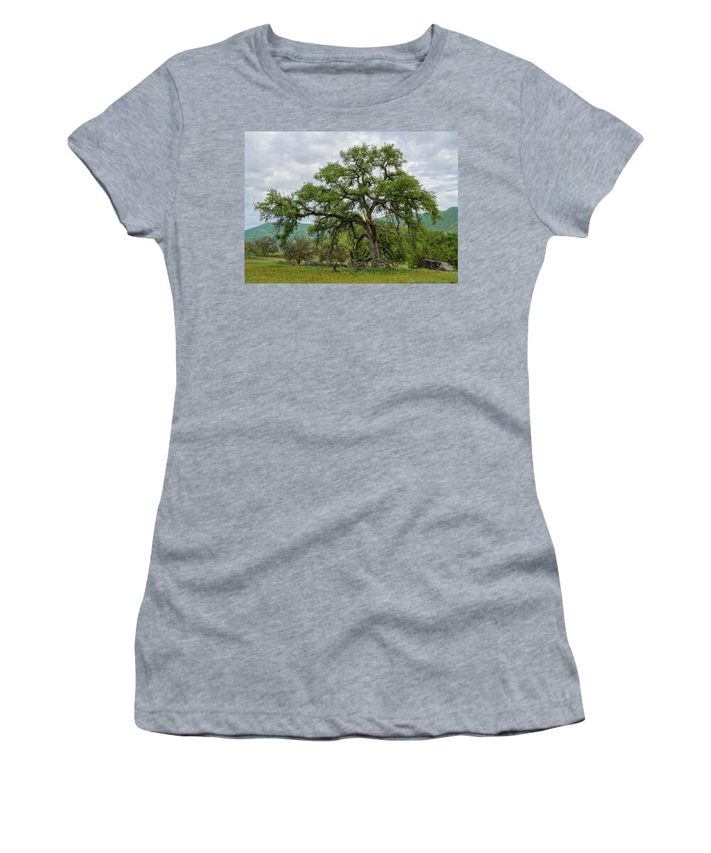 Oak Tree Women's T-Shirt featuring the photograph Majestic Oak Yokohl Valley by Brett Harvey