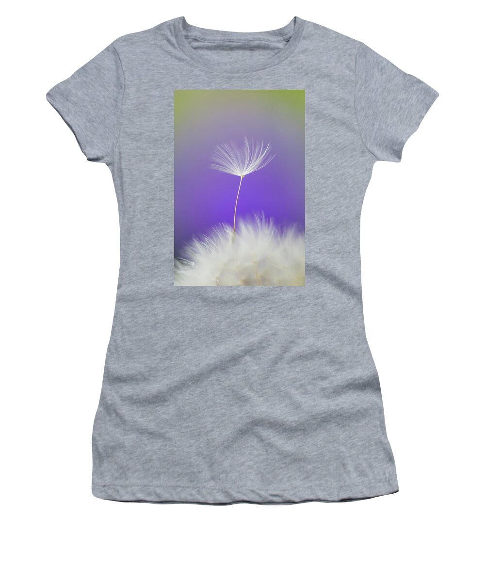 Abstract Women's T-Shirt featuring the photograph Make a Wish - on Purple by Anita Nicholson