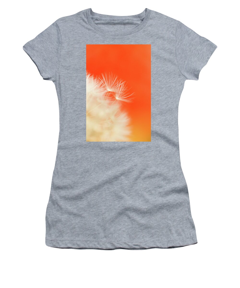 Ideas Women's T-Shirt featuring the photograph Make a Wish - on Orange by Anita Nicholson