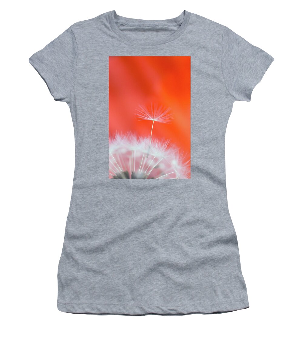 Ideas Women's T-Shirt featuring the photograph Make a Wish - on Red by Anita Nicholson