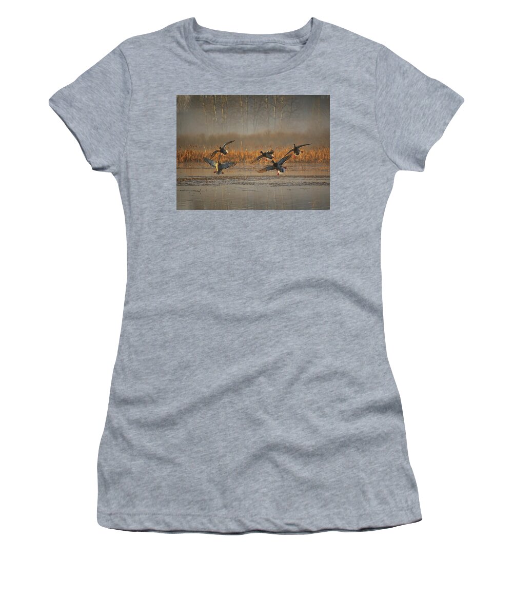 Waterfowl Women's T-Shirt featuring the photograph Mallards With Feet Dangling by Dale Kauzlaric