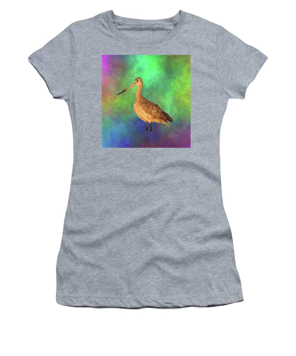 Marbled Godwit Women's T-Shirt featuring the photograph Marbled Godwit by Mingming Jiang