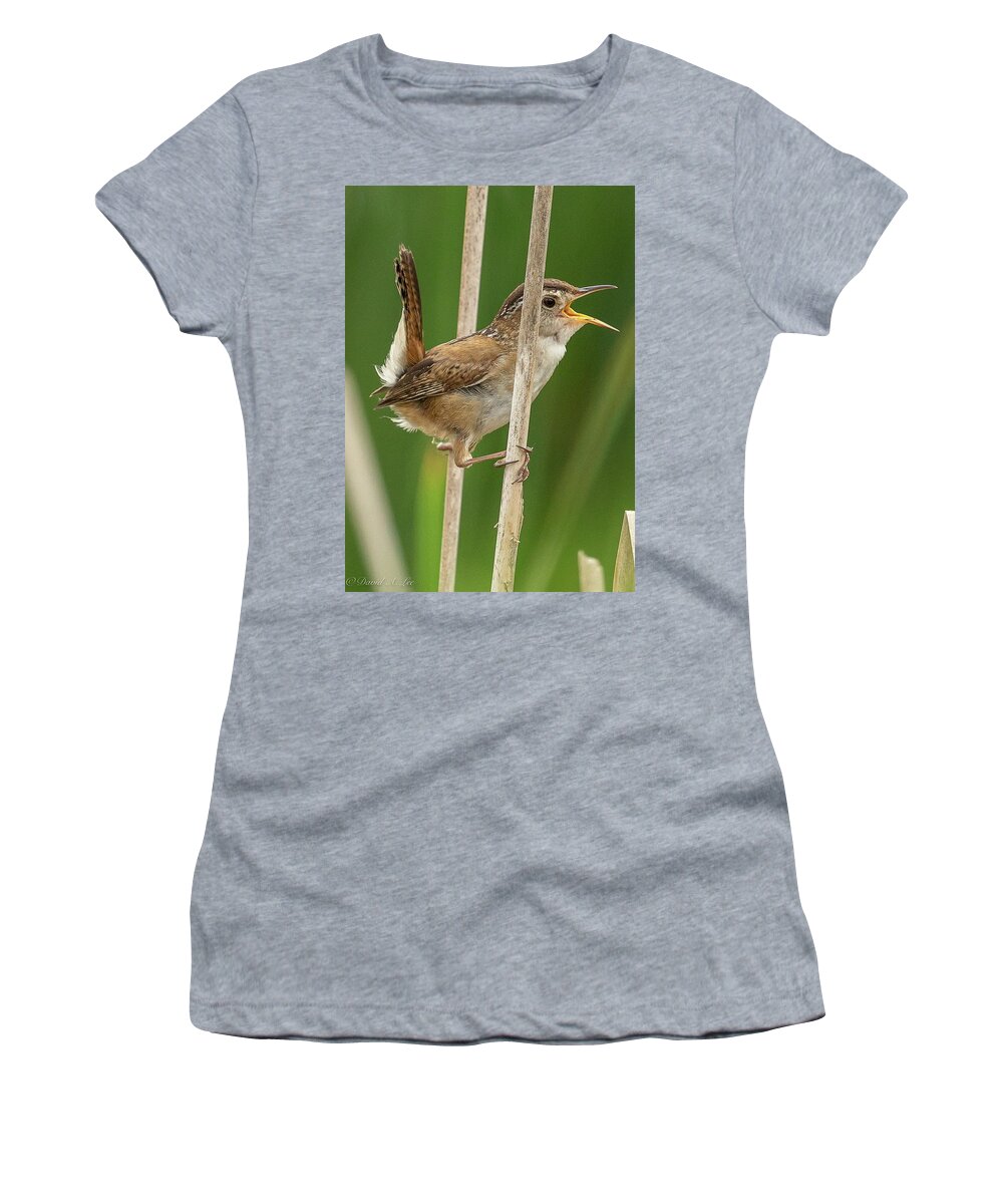 Birds Women's T-Shirt featuring the photograph Marsh Wren by David Lee