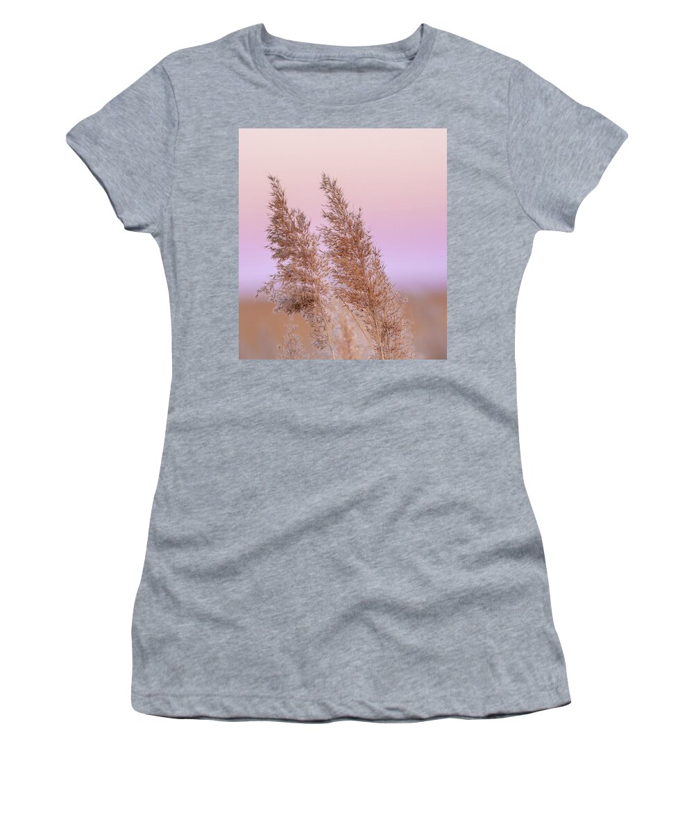 Meadow Grass Women's T-Shirt featuring the photograph Meadow breeze by Rehna George