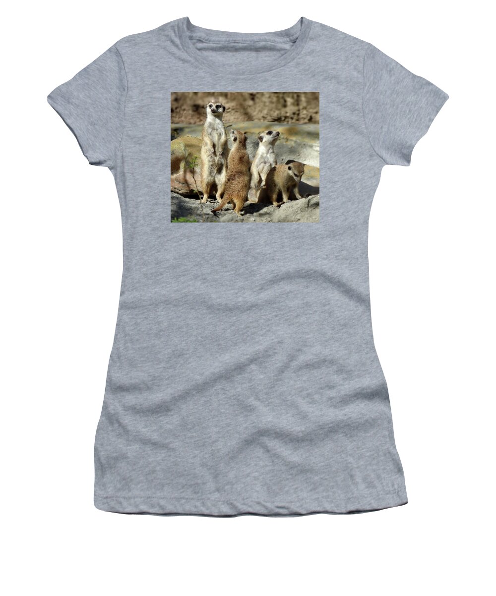 Meerkat Women's T-Shirt featuring the photograph Meerkats by Lyuba Filatova