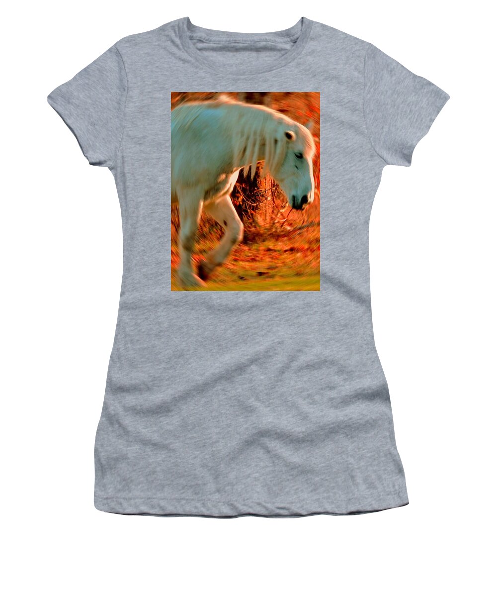 Horse Women's T-Shirt featuring the photograph Memories At Sunset by Tami Quigley
