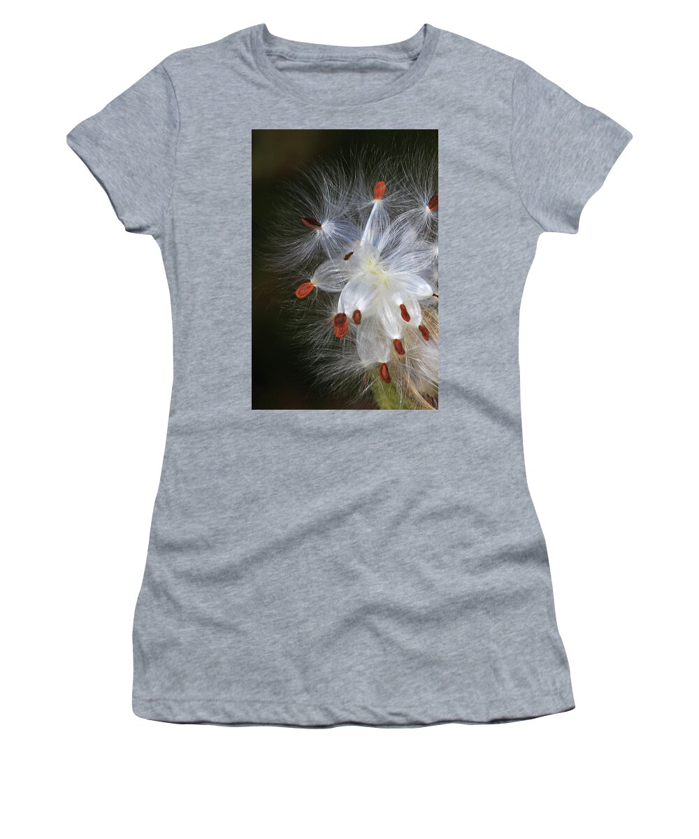 Milkweed Women's T-Shirt featuring the photograph Milkweed Seeds by Shixing Wen
