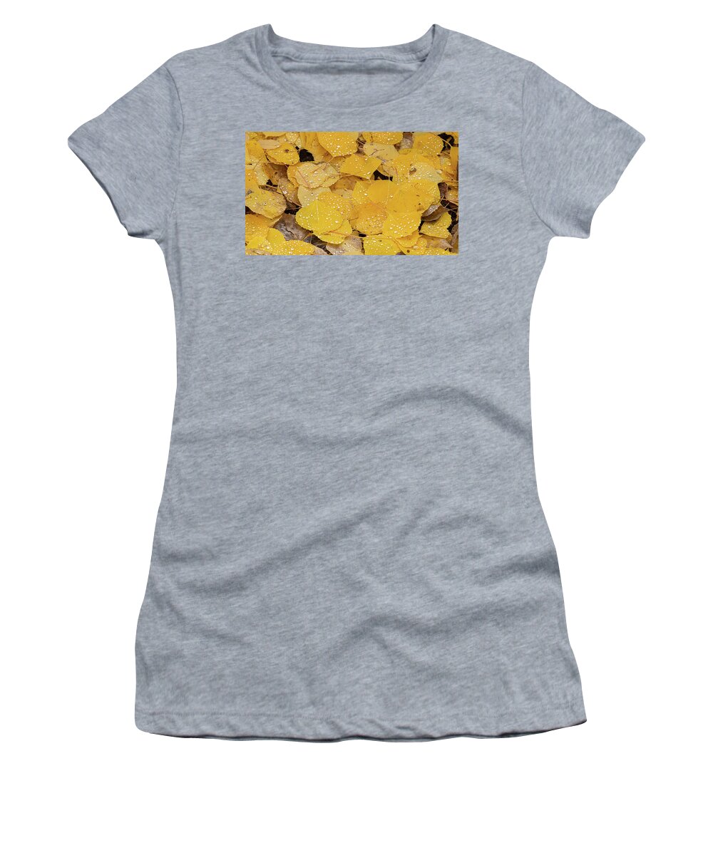 Colorado Women's T-Shirt featuring the photograph Misted Aspen Leaves by David Downs