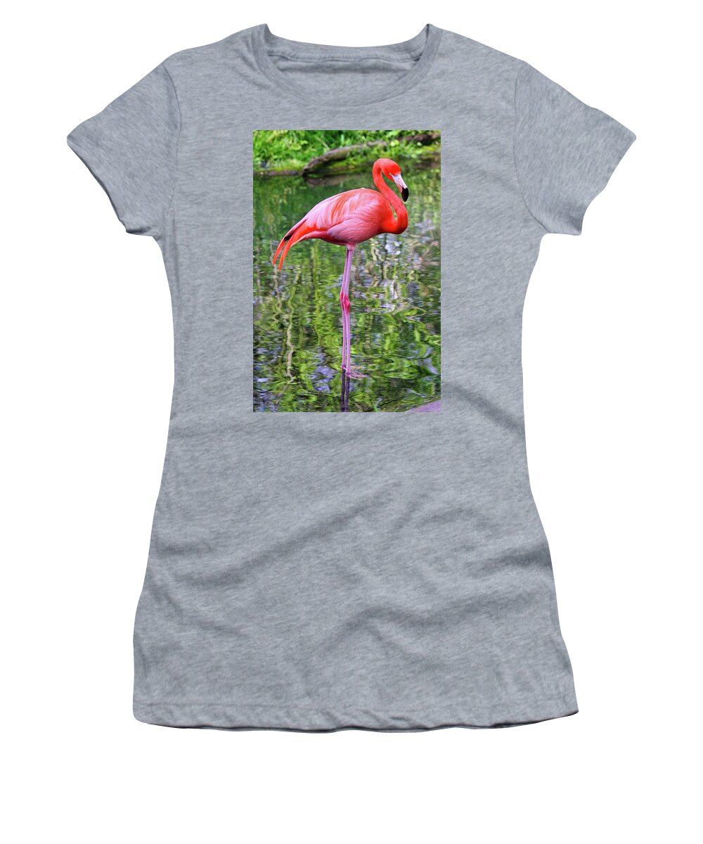 Pink Women's T-Shirt featuring the photograph Mister Pink Taking A Dip by Scott Burd