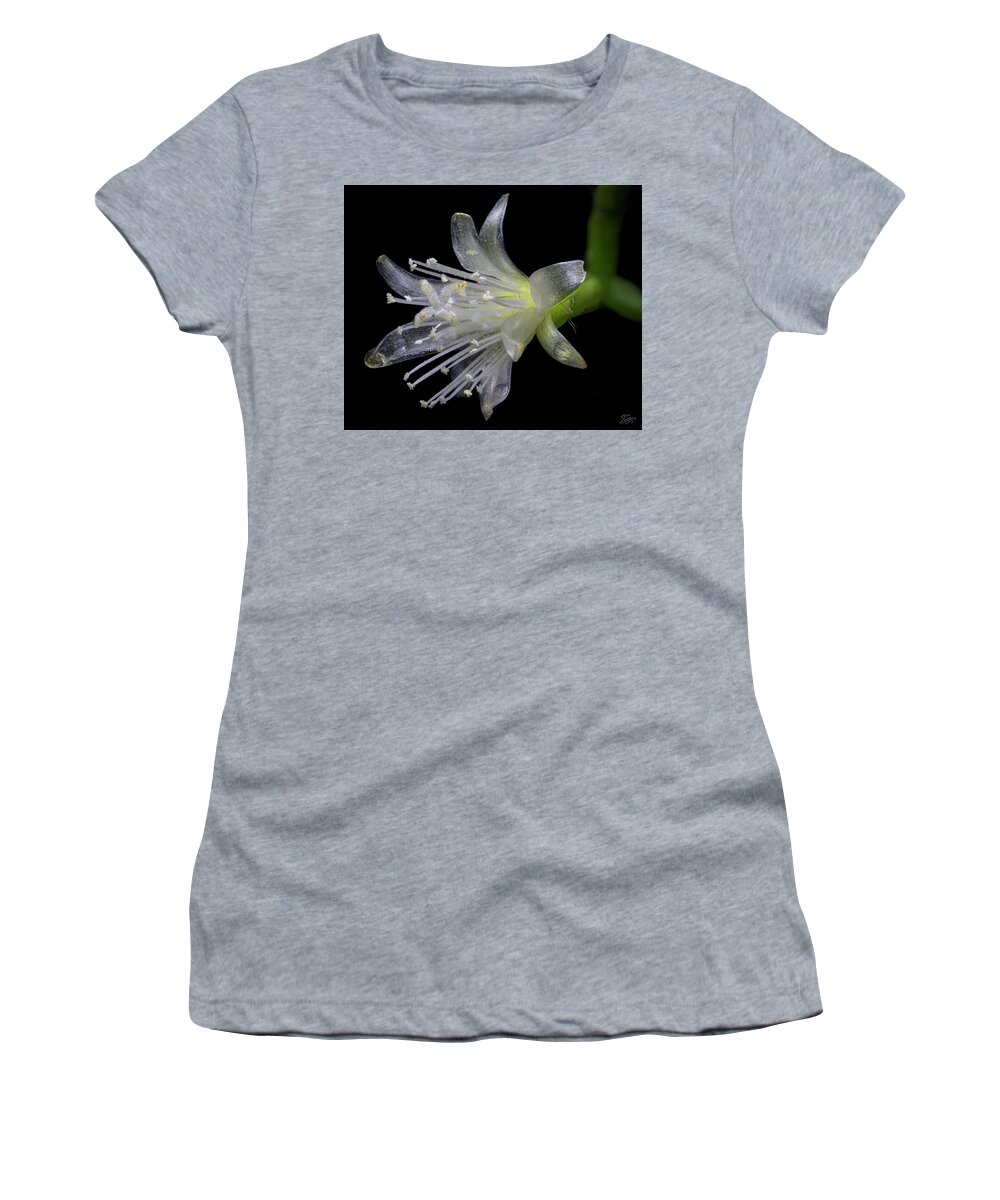 Mistletoe Cactus Women's T-Shirt featuring the photograph Mistletoe Cactus by Endre Balogh