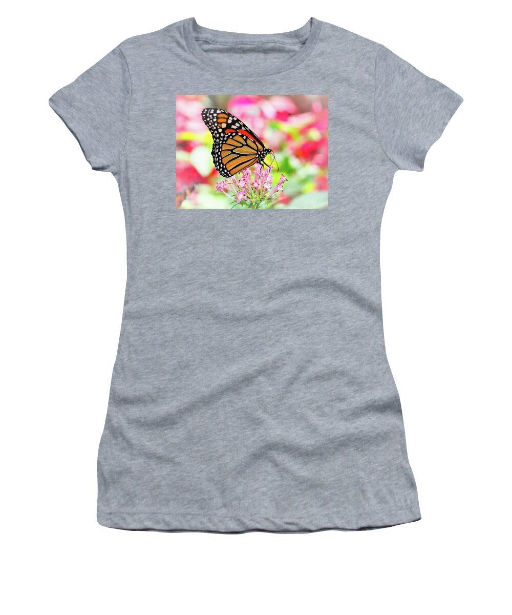 Butterfly Women's T-Shirt featuring the photograph Monarch Butterfly 006 by James C Richardson