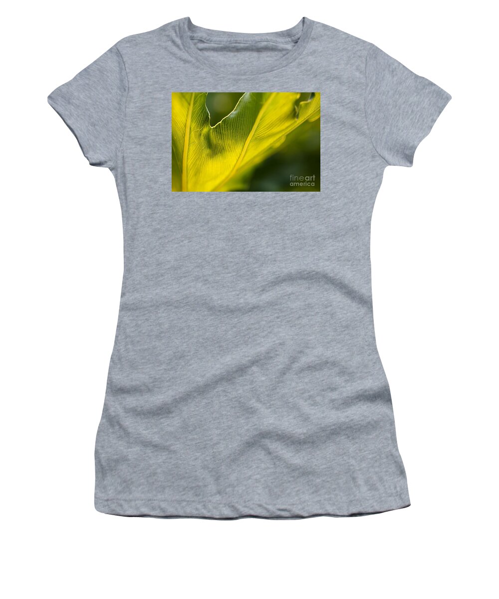 Monstera Deliciosa Leaf Natures Design Women's T-Shirt featuring the photograph Monstera Deliciosa Leaf Natures Design by Joy Watson