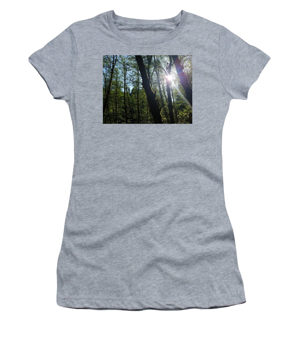 Morning Women's T-Shirt featuring the photograph Morning in the forest by Brent Knippel