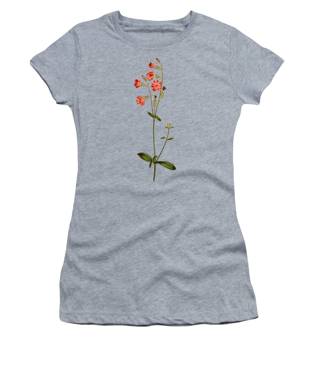 Morocco Catchfly Women's T-Shirt featuring the mixed media Morocco Catchfly Flower on Misty Green With Dry Brush Effect by Movie Poster Prints
