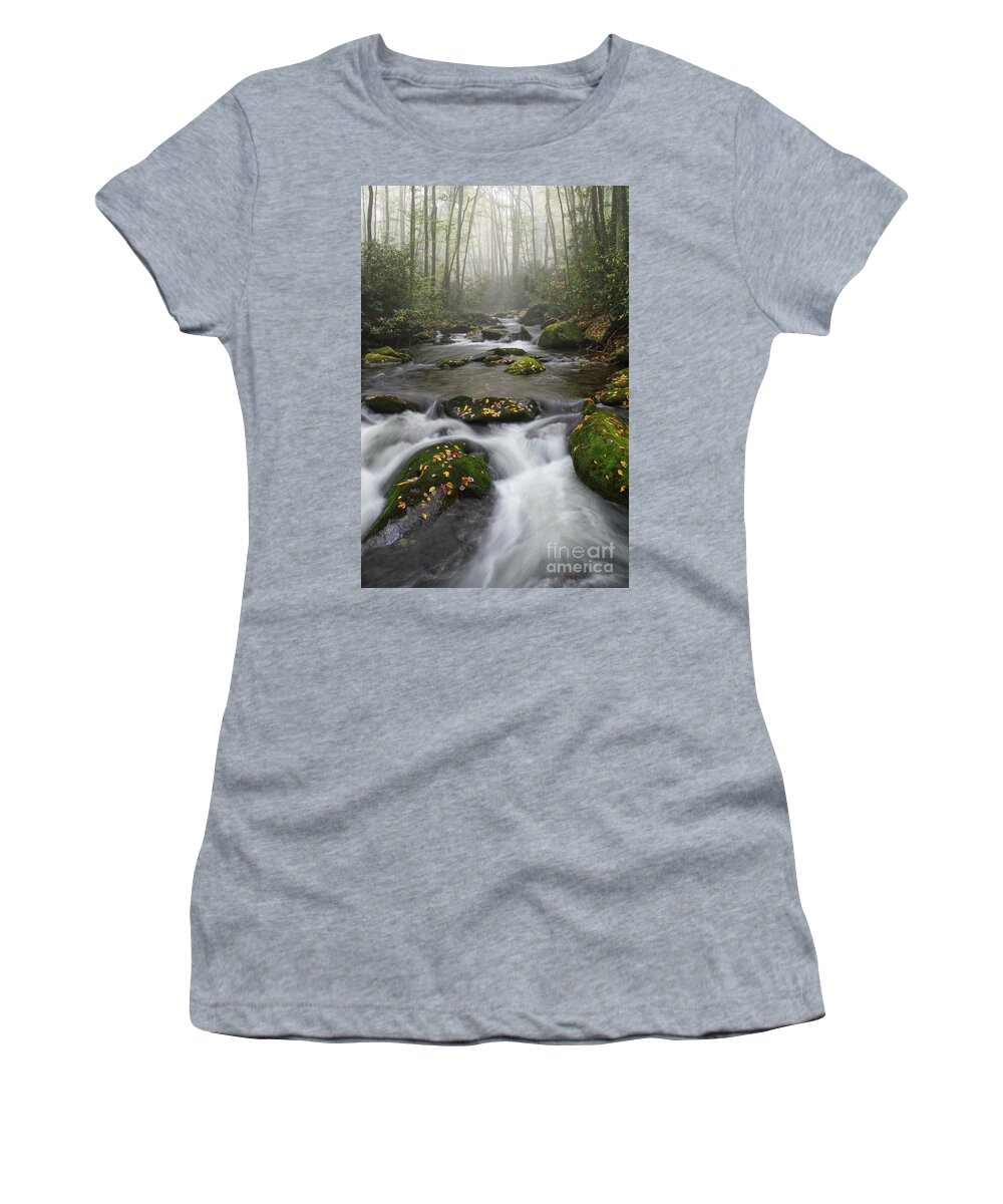 Middle Prong Trail Women's T-Shirt featuring the photograph Moss On Middle Prong 4 by Phil Perkins