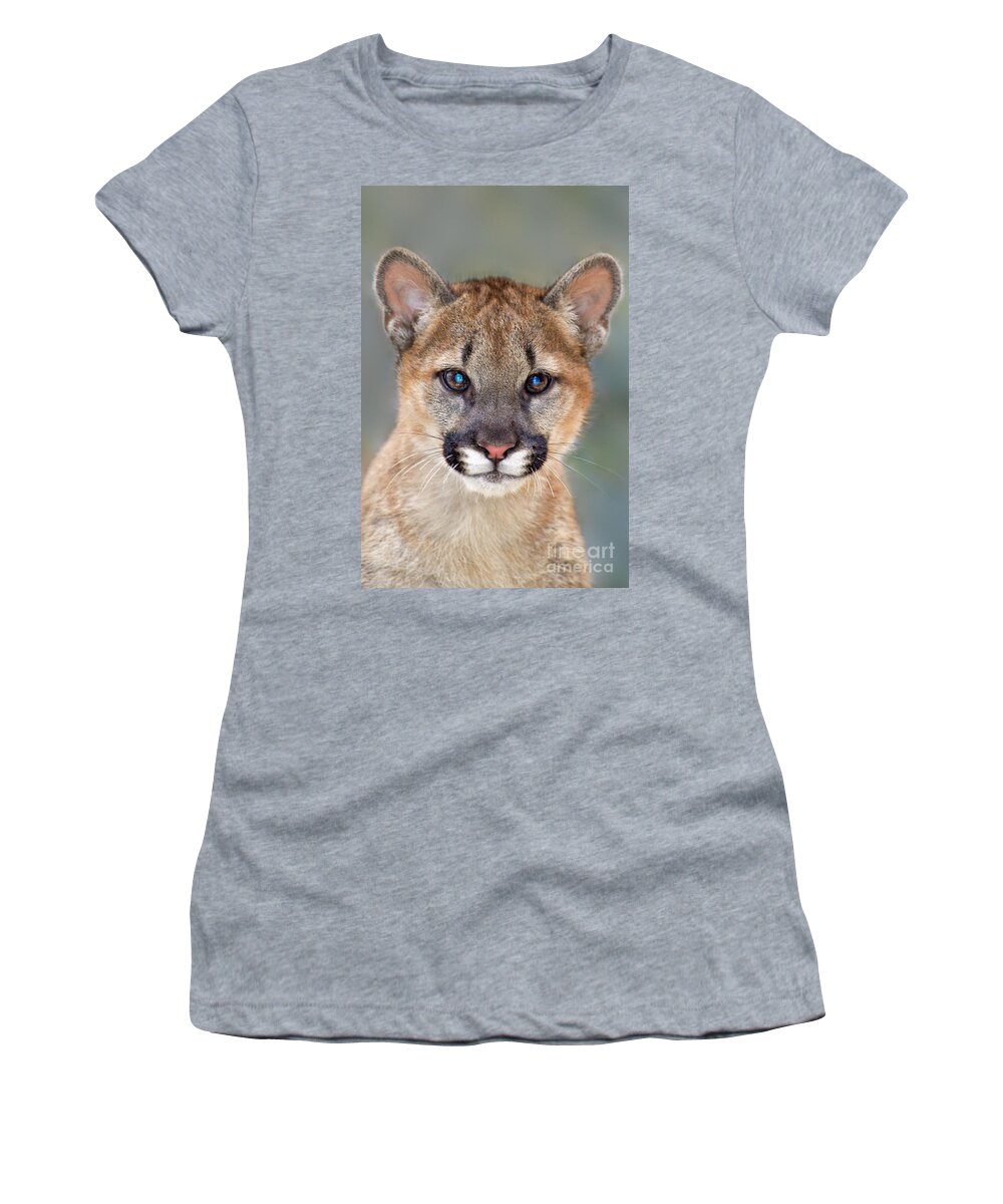 North America Women's T-Shirt featuring the photograph Mountain Lion Felis Concolor Captive Wildlife Rescue by Dave Welling
