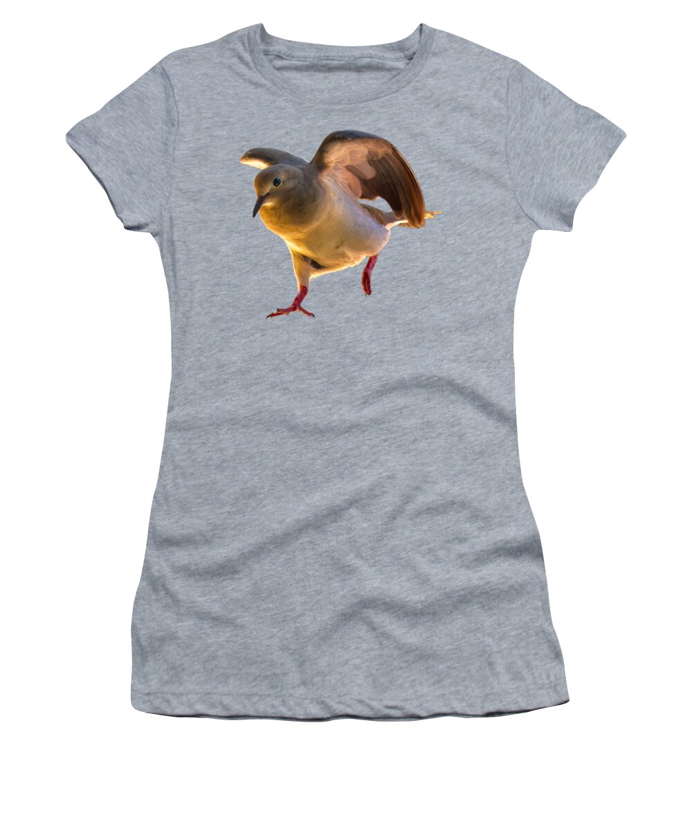 Mark Myhaver Photography Women's T-Shirt featuring the photograph Mourning Dove 25179 by Mark Myhaver