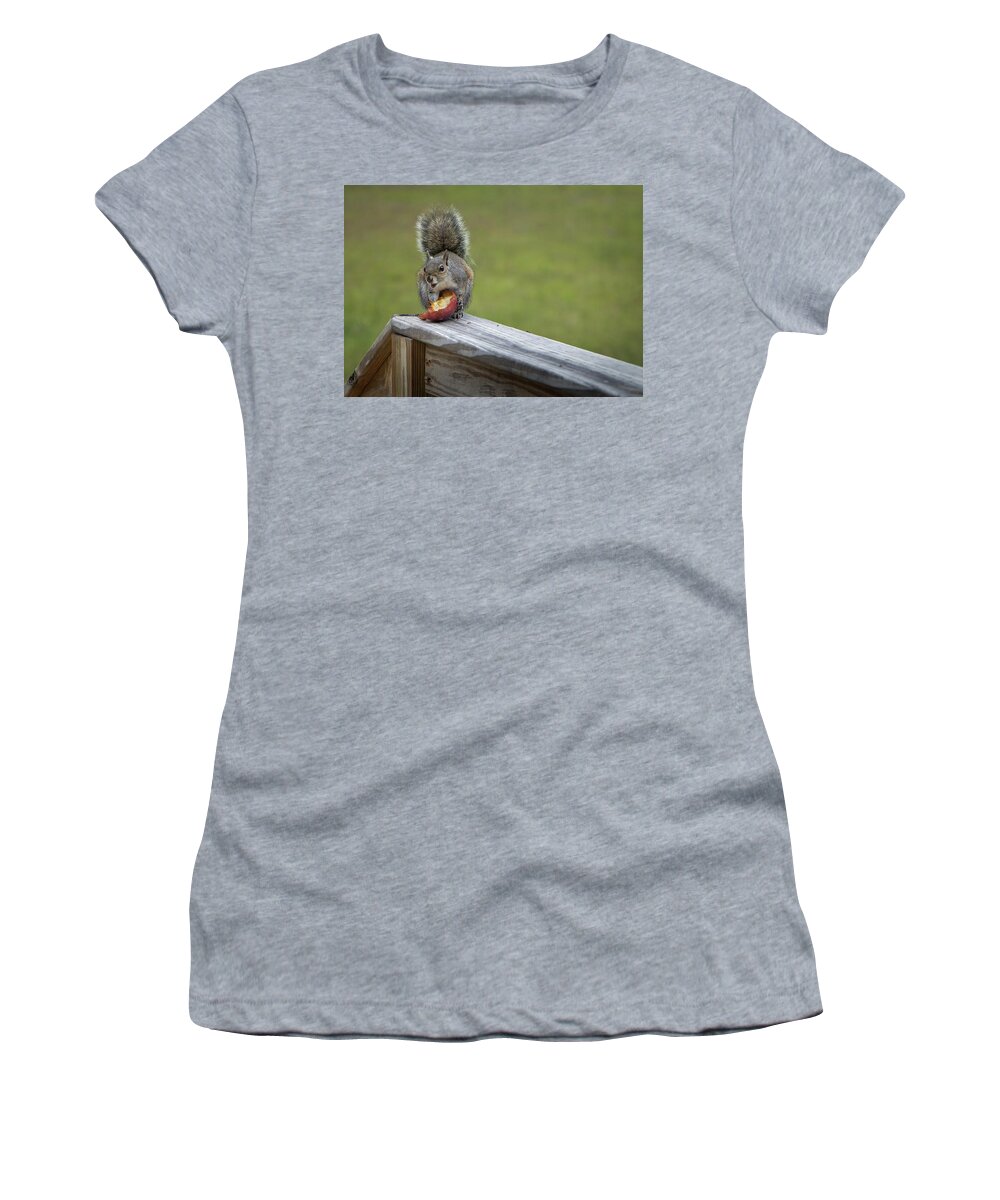 Squirrel Women's T-Shirt featuring the photograph My Apple by M Kathleen Warren