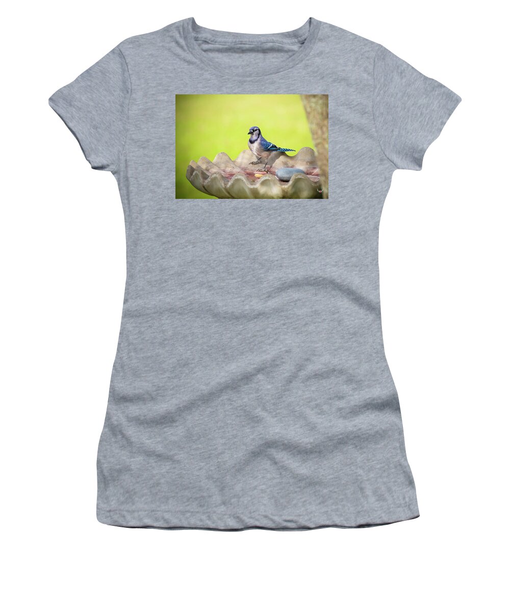 Bluejay Women's T-Shirt featuring the photograph My Peanut is Wet by Pam Rendall