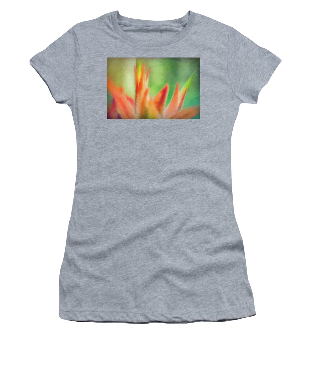 Indian Paintbrush Women's T-Shirt featuring the digital art Nature Dreaming by Bonny Puckett