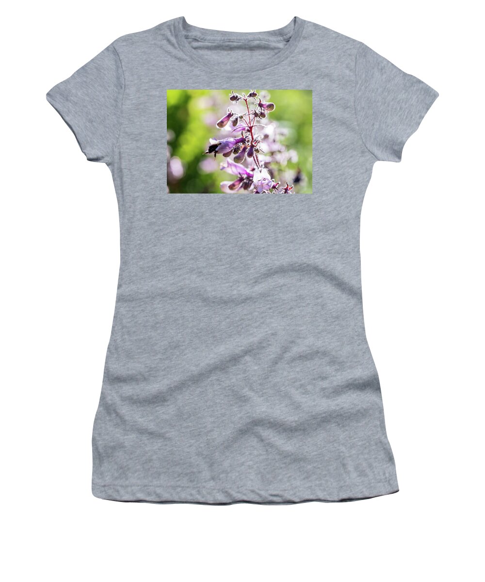Bee Women's T-Shirt featuring the photograph Nature Photography - Bees At Work by Amelia Pearn