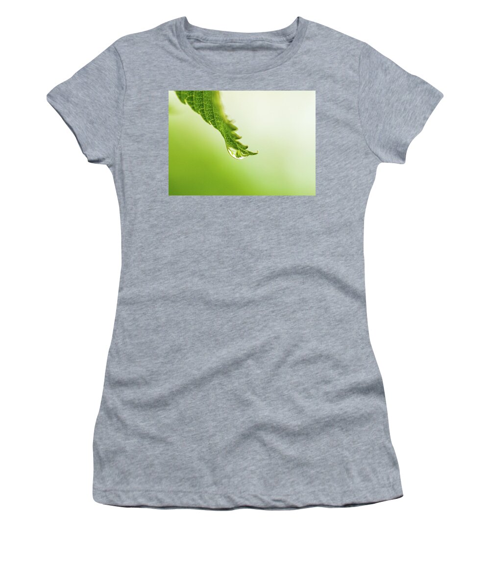 Plants Women's T-Shirt featuring the photograph Nature Photography - Rain by Amelia Pearn