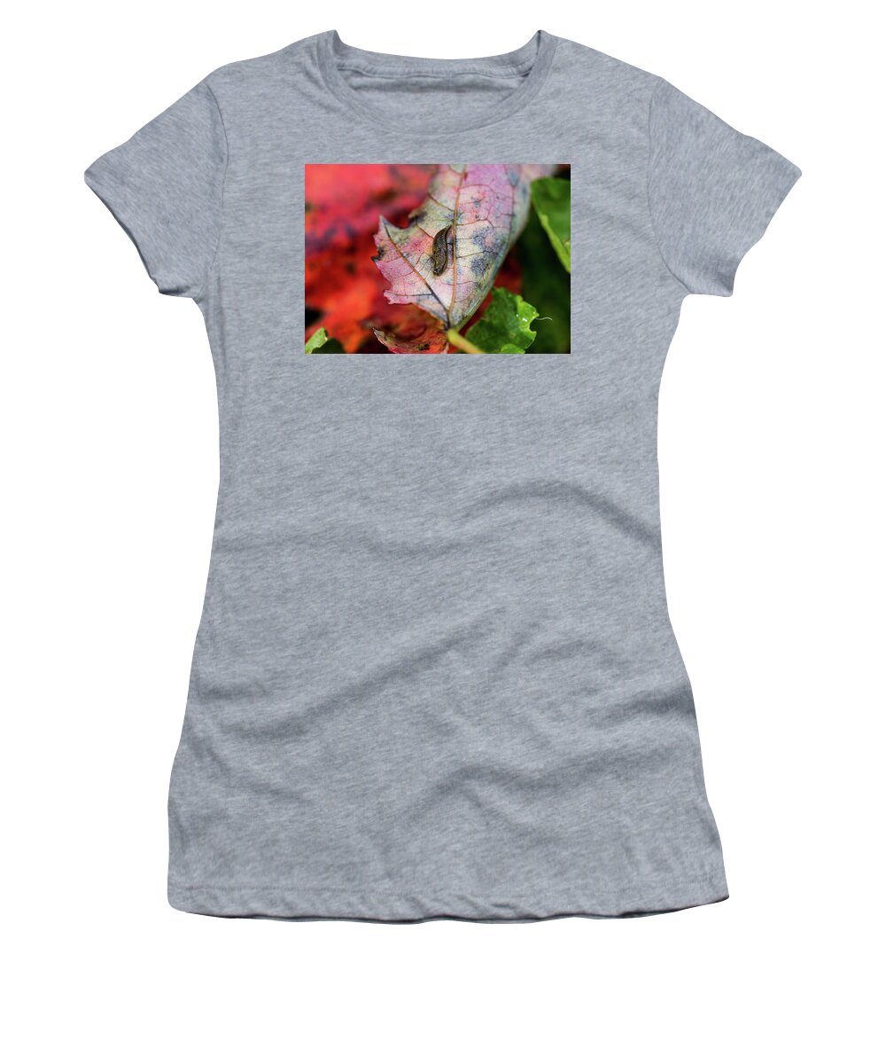 Insect Women's T-Shirt featuring the photograph Nature Photography - Slug on a Leaf by Amelia Pearn