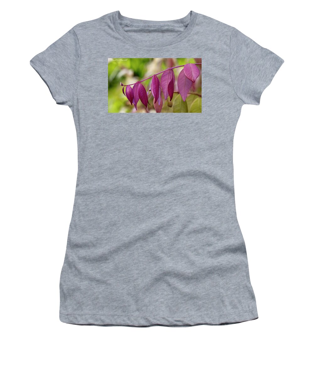 Natures Beauty Women's T-Shirt featuring the digital art Natures beauty 70003 by Kevin Chippindall