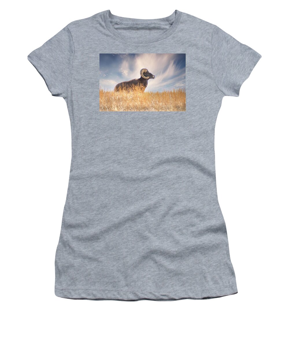 Bighorn Sheep Women's T-Shirt featuring the photograph Nature's Ram by Jerry Cahill