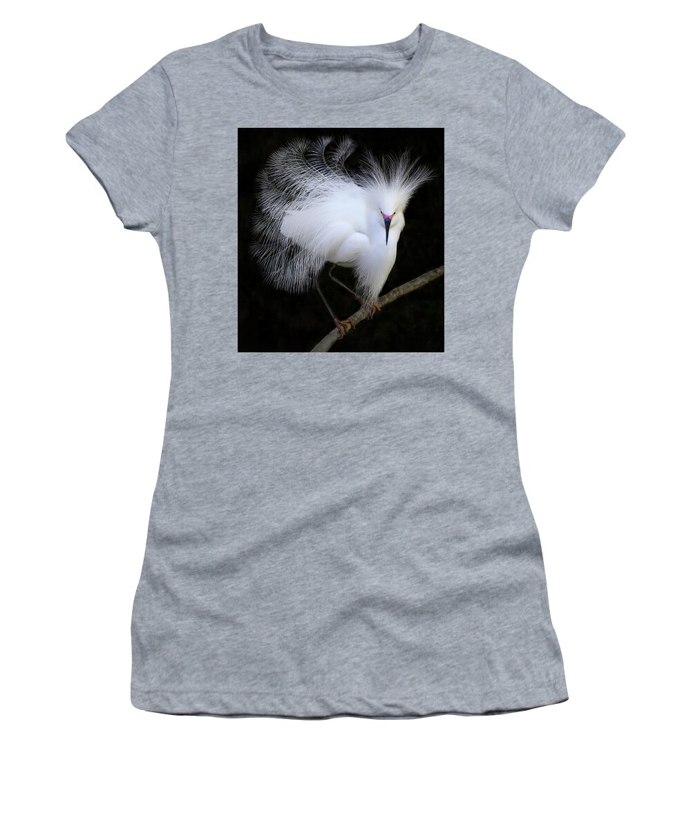 Snowy Women's T-Shirt featuring the photograph Natures Spark by Art Cole