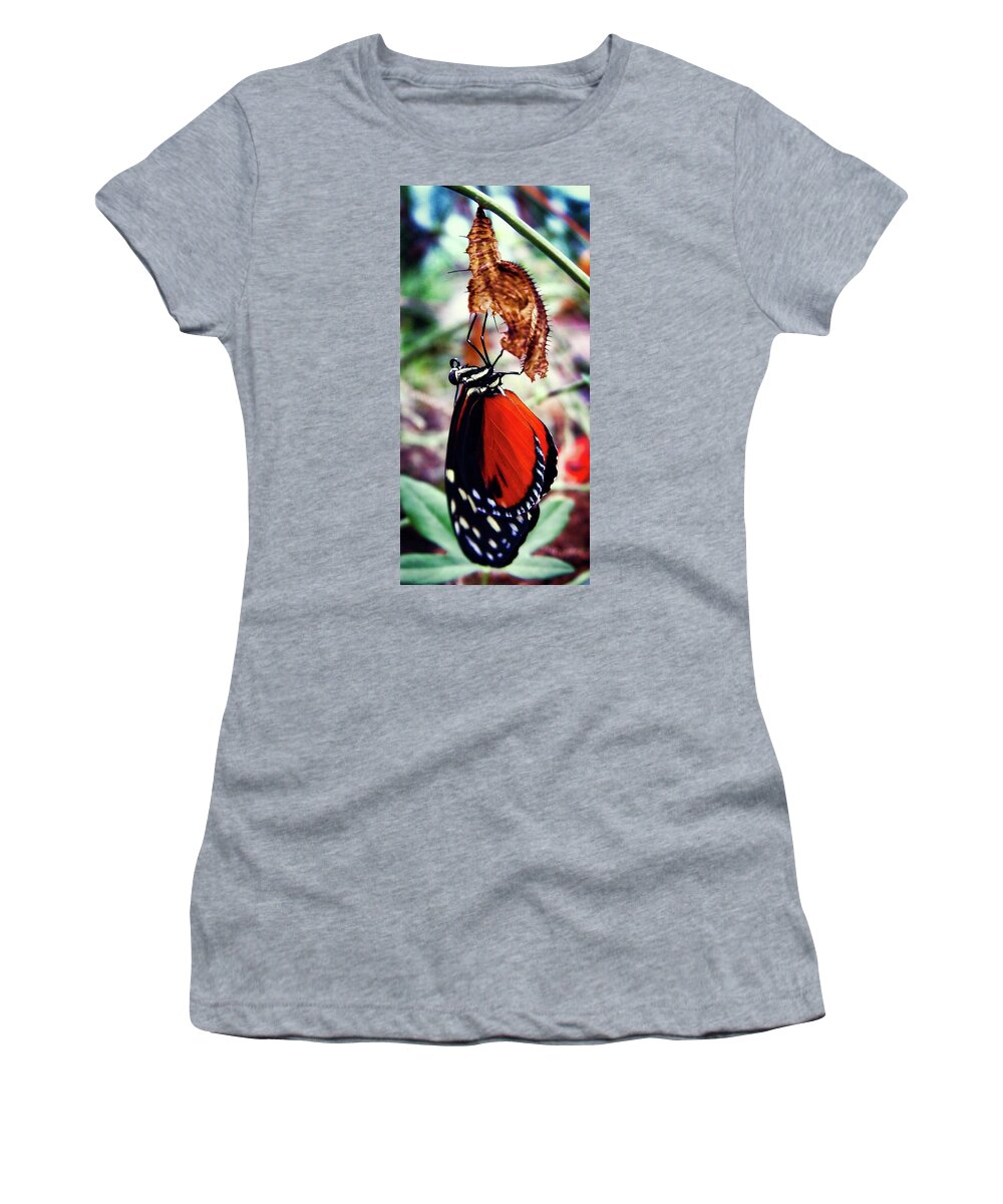 Butterfly Women's T-Shirt featuring the photograph New Life by Robert Knight