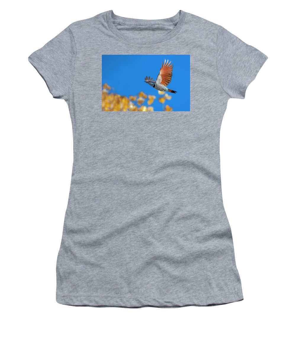Flying Women's T-Shirt featuring the photograph Northern Flicker by Rick Mosher