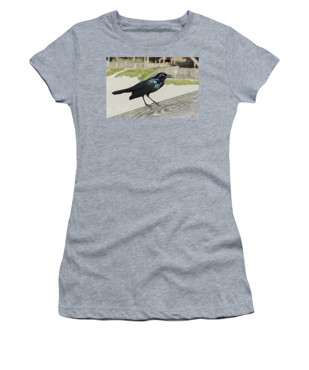 Bird Women's T-Shirt featuring the photograph Nothing Special by John Kirkland